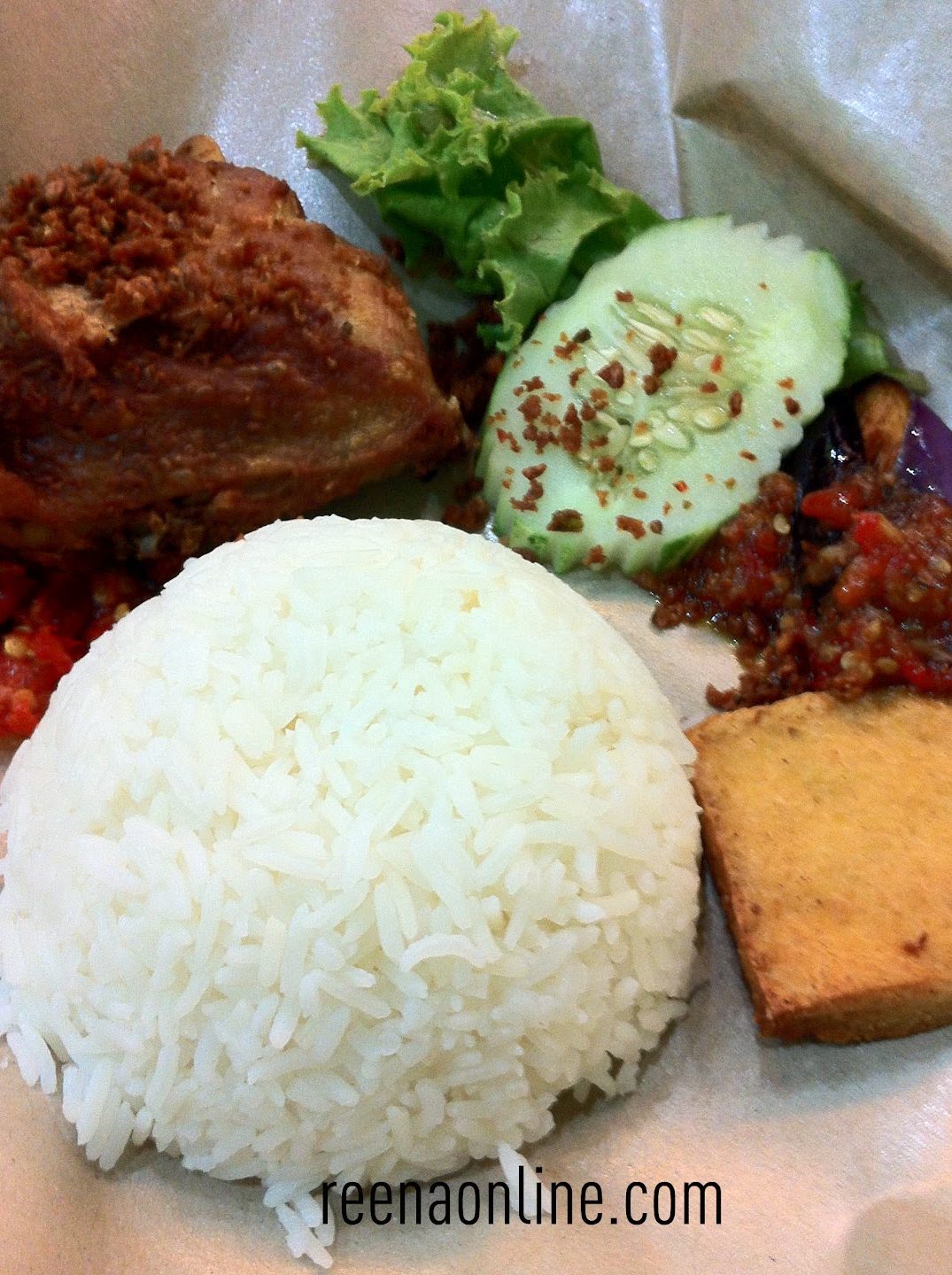 Ayam Penyet Terbaik di Alor Setar 1 ayam penyet terbaik di alor setar