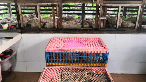 Proses Ayam @ Tanjung Minyak Proses Ayam @ Tanjung Minyak